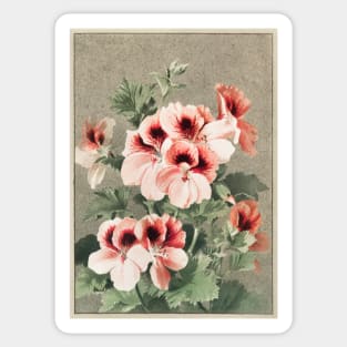 Christmas card depicting cherry blossoms Sticker